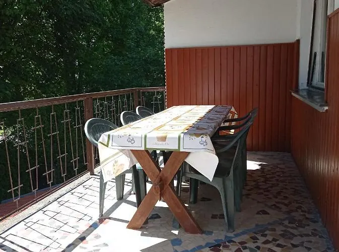 Mátyás Király *